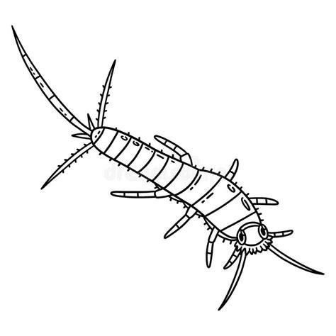 Insect Silverfish Animal Isolated Coloring Page Stock Vector