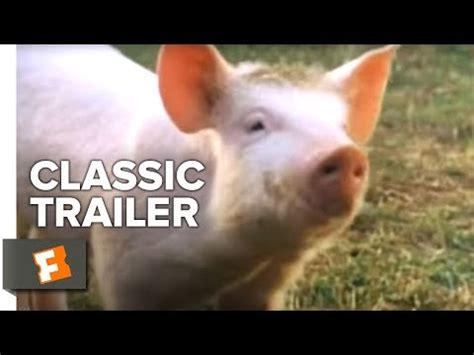 Movie Review Babe 1995 Panorama Of The Mountains