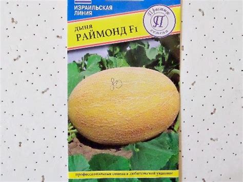 Дыня медовая принцесса описание сорта