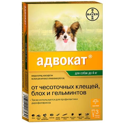 Лучшие глистогонные препараты для собак - топ-5