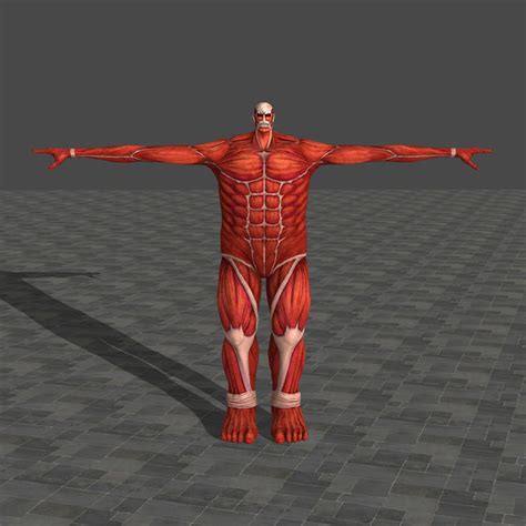 Colossal Titan Attack On Titan Wings Of Freedom By
