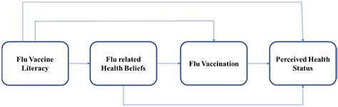 Vaccines Free Full Text Effects Of Vaccine Literacy Health Beliefs And Flu Vaccination On