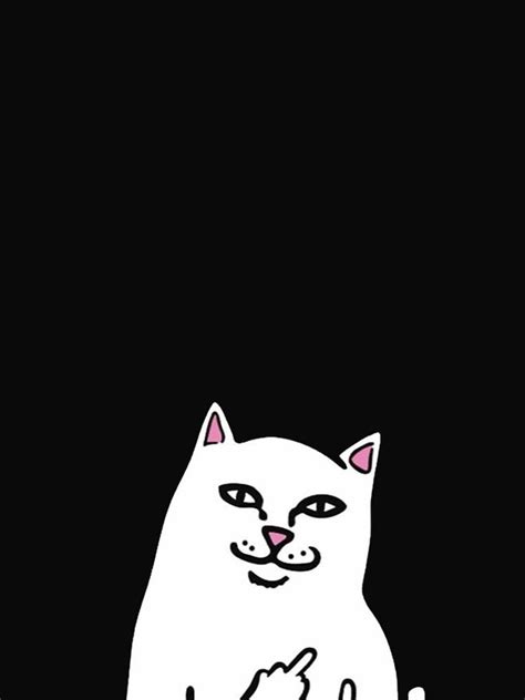 Fuck You Cat Meme Gift Middle Finger Cat Meme IPhone Case For Sale By AliceinMemeLand