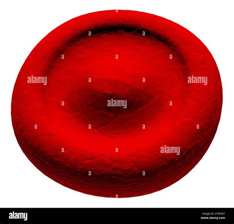 target cell abnormal red blood cell illustration stock photo alamy