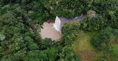 Drone View of a Rainforest Waterfall Free Stock Video Footage, Royalty ...