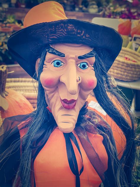 Halloween Witch Free Stock Photo Public Domain Pictures