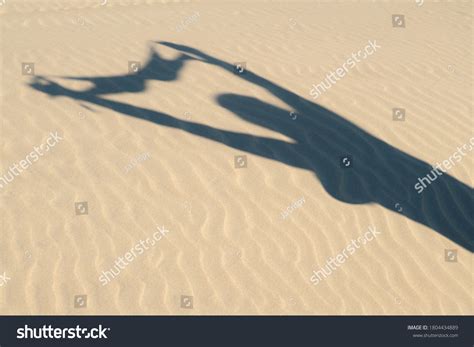 рез по запросу Girl takes bikini off изображения стоковые фотографии и векторная