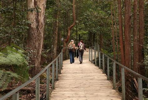 Adventure Is Out There: Things To Do At Scenic World Blue Mountains ...