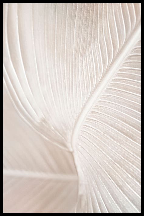 Новые постеры для интерьера Postermarkt. Смотрите наши последние ...