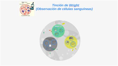 tincion de wright  andrea luna  prezi