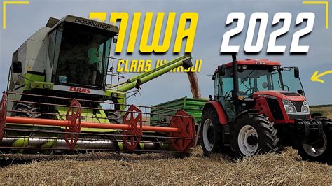 Klimatyczne żniwa z claas ą Claas dominator 150 ll Polskie ŻNIWA