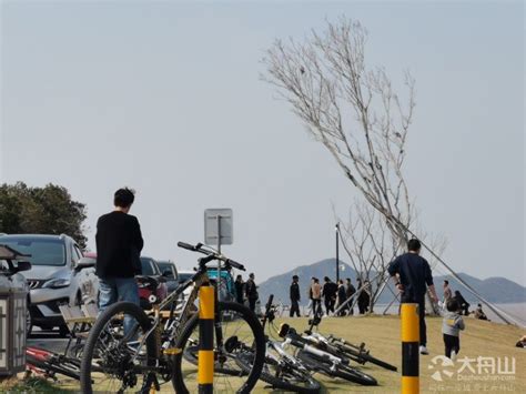 不是双休日，螺塘线居然都有这么多人大舟山论坛