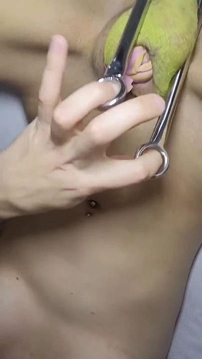 Happy Holidays Ya Filthy Freaks American Shemale Ladyboy Porn By FapHouse XHamster