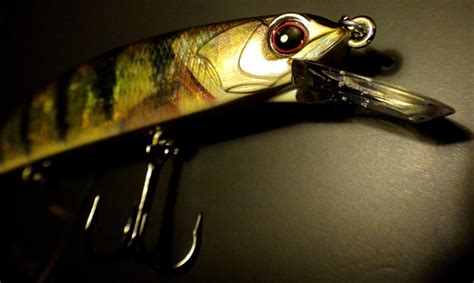 Rudra 130 SP Real Perch : Hot colour