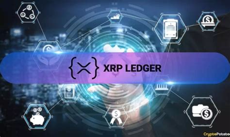 Understanding the Surge in XRPL Network Activity – Crypto Insights