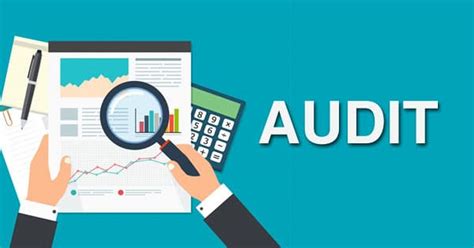 review  internal financial control  bank branch audit