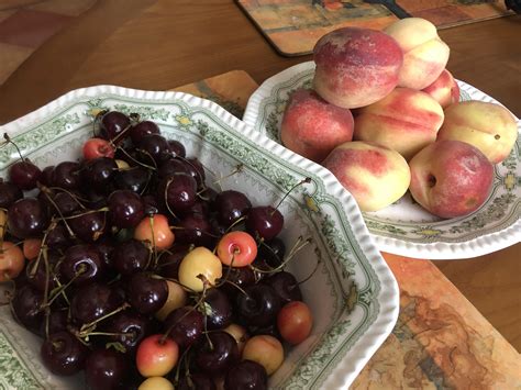 372 Best Sweet Peach Images On Pholder Pan Porn Makeup Addiction And Pitbulls