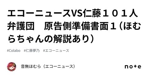 エコーニュースVS仁藤101人弁護団 原告側準備書面1ほむらちゃんの解説あり音無ほむらエコーニュース