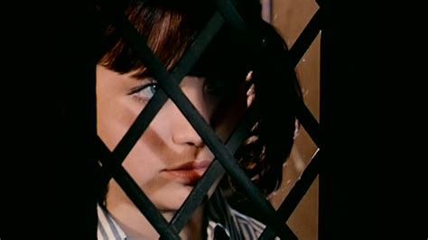 Pussy Talk Higher Render