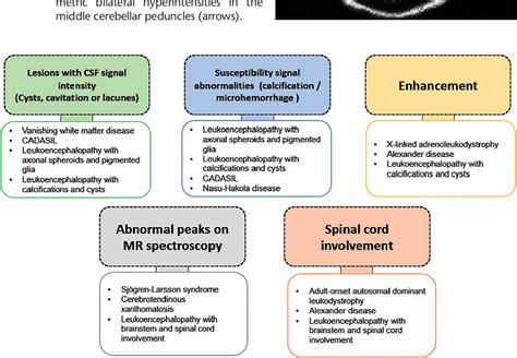 Figure 12 From Adult Leukodystrophies A Step By Step Diagnostic