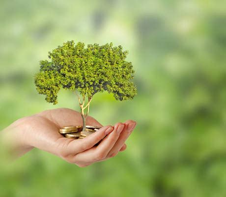 chimera investment corp  top dividend paying stock  yields