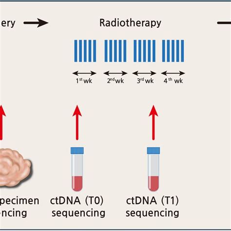 Mutation Profiles In Surgically Resected Tumor And Plasma Ctdna