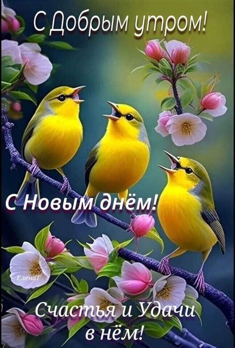 Pin tillagd av Оксана på Птичка