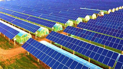 Application Of Solar Energy In Agriculture In The Modern World