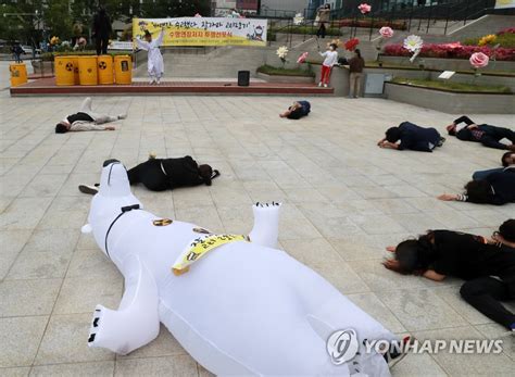 고리2호기 계속운전 반대 퍼포먼스 연합뉴스