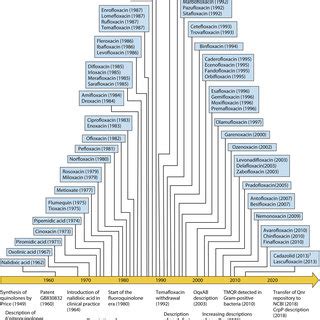 General structure and subclasses of quinolones. Quinolones have a ...