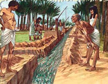From Foraging to Farming: The Surprising Rise of Agriculture in the Americas