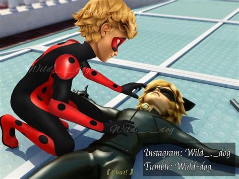 Pin On Cat Noir Gay