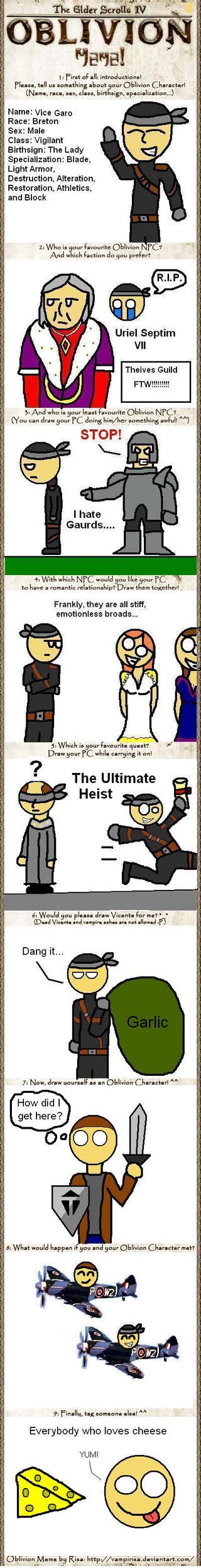 Oblivion Meme By Tonixman On Deviantart