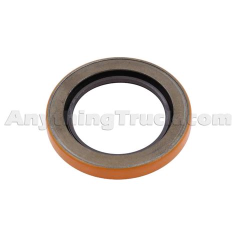 Newstar Sunshine Set P Free Hot Girl Pics