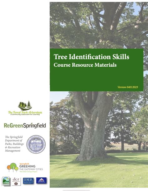 tree identification guide   regreen springfield
