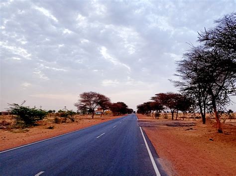 side view nature  photo  pixabay pixabay