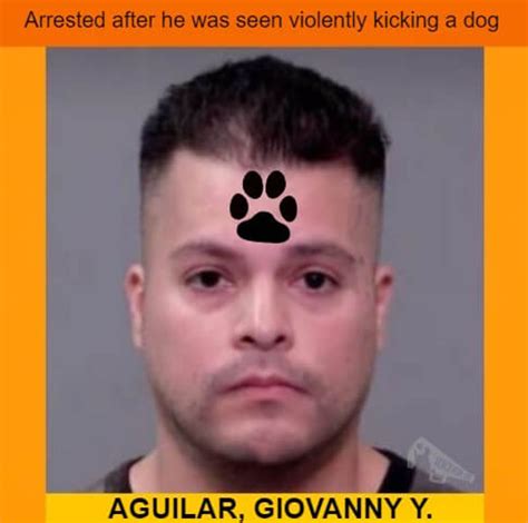 GIOVANNY Y AGUILAR Registered Sex Offender Arrested For Violently