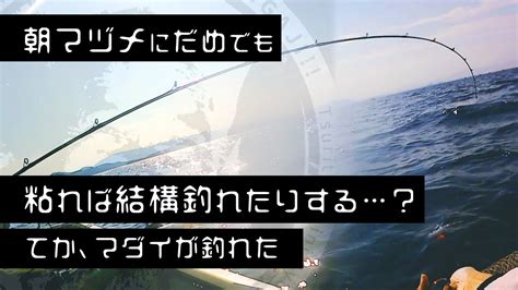 【貸ボート釣り】朝マヅメで釣れなくても、あきらめなければ釣れる時は釣れる。タイも釣れる。 Youtube