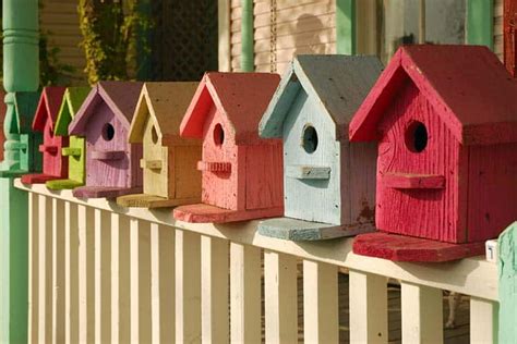 Best Birdhouse Paint Colors That Attract Birds - Woodworking Trade