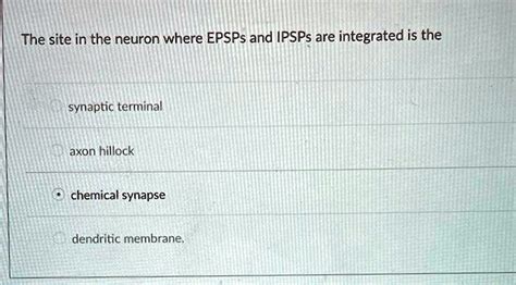 SOLVED: The site in the neuron where EPSPs and IPSPs are integrated is ...