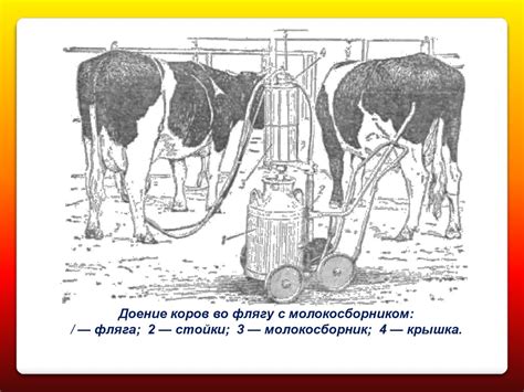 Доильные установки - презентация онлайн