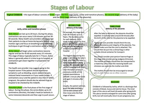 Stages Of Labor Diagram