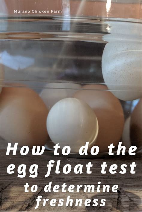 How To Float Test Eggs Floating Eggs Egg Float Test Eggs