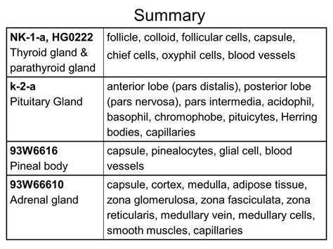 Block9summary