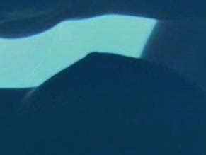 Irresistible Nude Scenes Aznude