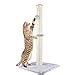 Amazon Dimaka Tall Cat Scratching Post For Indoor Cats And