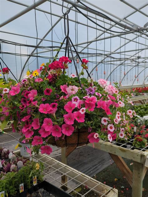 Secret Garden & Greenhouse | Spokane WA