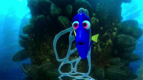 Finding Dory Dory Captured Youtube
