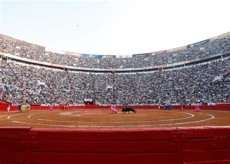 Suspenden Otra Vez Corridas De Toros En La Plaza M Xico Naci N Norte A