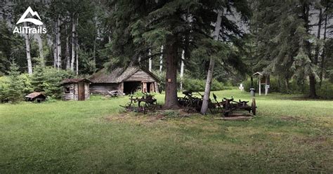 Best Forest Trails In Paddockwood Alltrails